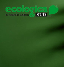 Ecologica Sud di Vittorio D'Angiulli SRL
